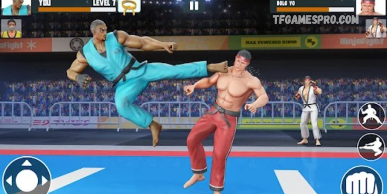 The Journey of a Karate Fighter Karate Fighter